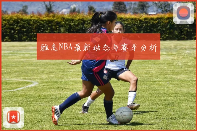 雅虎NBA最新动态与赛季分析